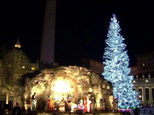 Vaticano, l’accensione dell’Albero di Natale: è altro alto quasi 30 metri e arriva dal Piemonte
